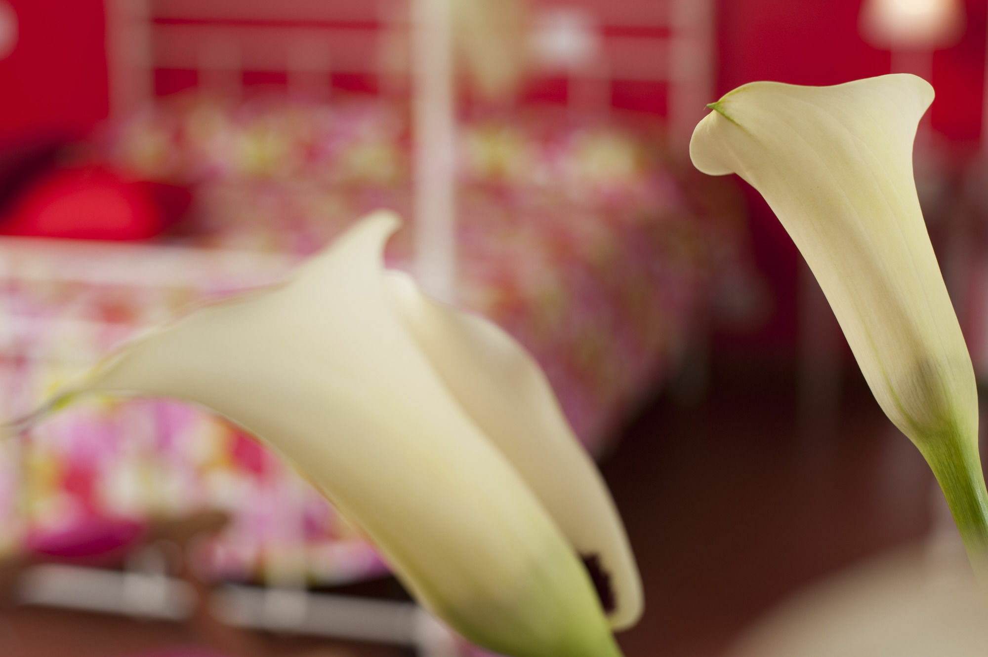 Antico Granaione Bed and Breakfast Rapolano Terme Buitenkant foto