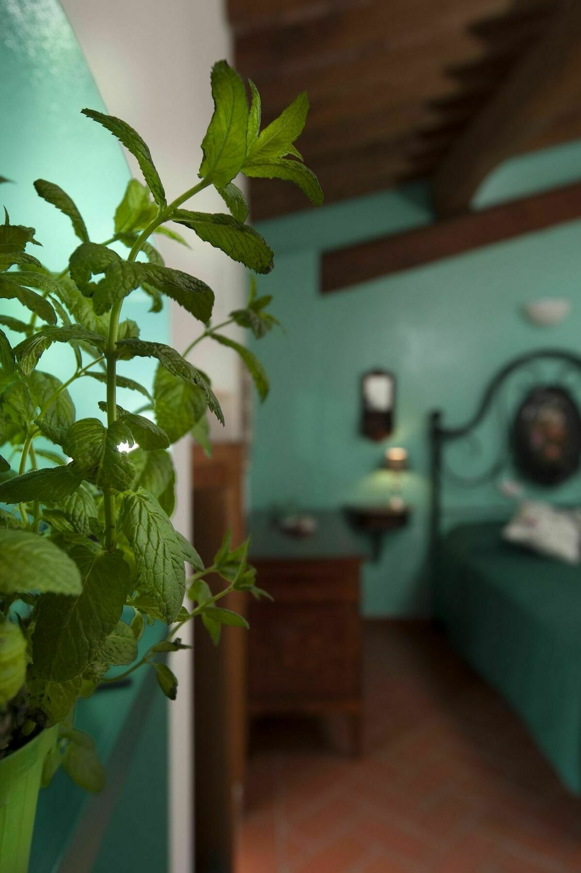 Antico Granaione Bed and Breakfast Rapolano Terme Buitenkant foto