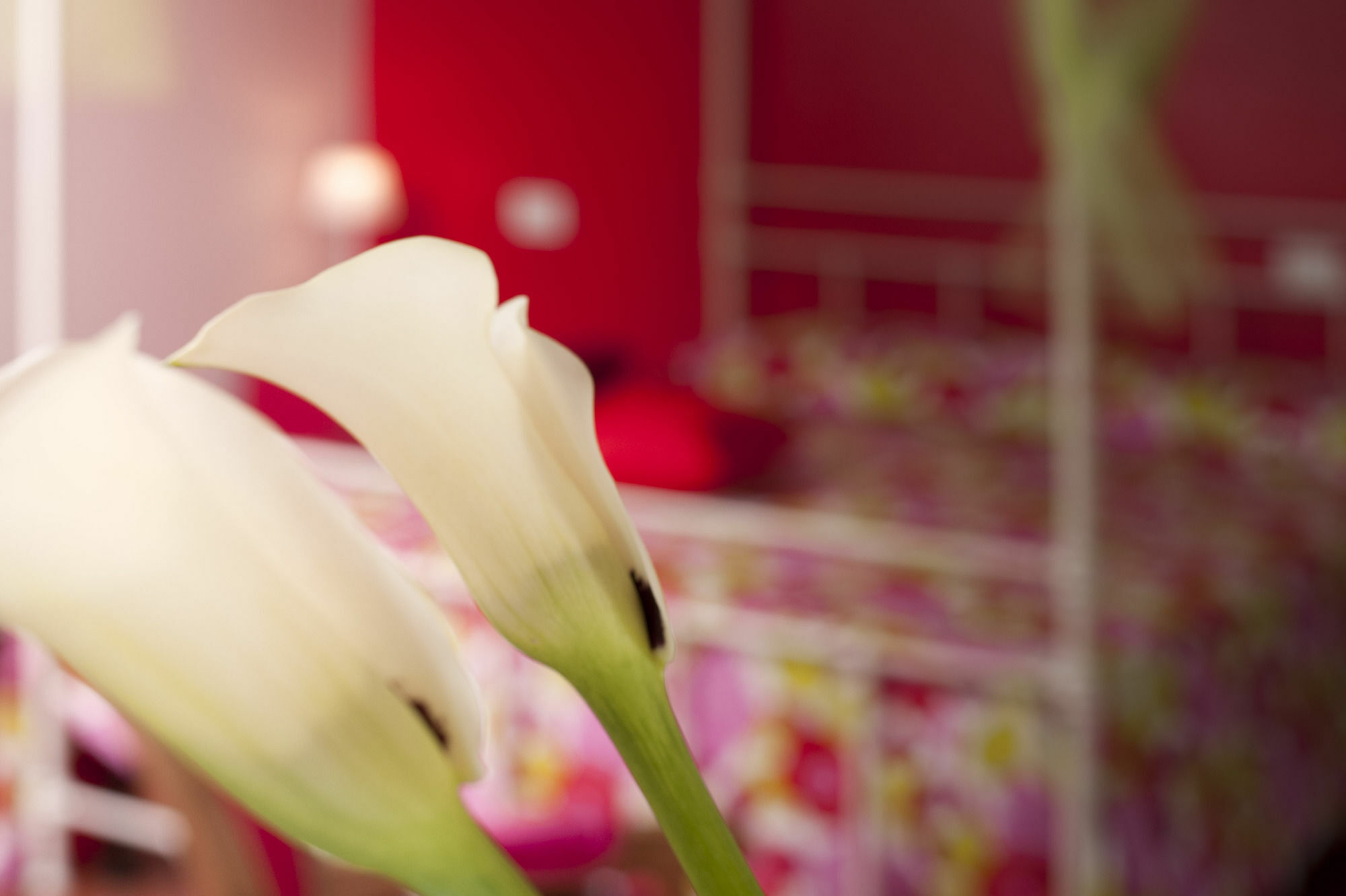 Antico Granaione Bed and Breakfast Rapolano Terme Buitenkant foto